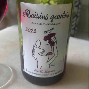 Domaine Marcel Lapierre - Mathieu & Camille Lapierre - Raisins Gaulois