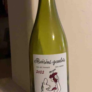 Domaine Marcel Lapierre - Mathieu & Camille Lapierre - Raisins Gaulois