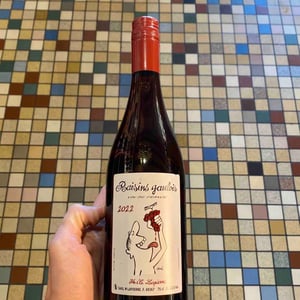 Raisins Gaulois - Domaine Marcel Lapierre - mathieu-camille-lapierre