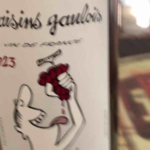 Domaine Marcel Lapierre - Mathieu & Camille Lapierre - Raisins Gaulois