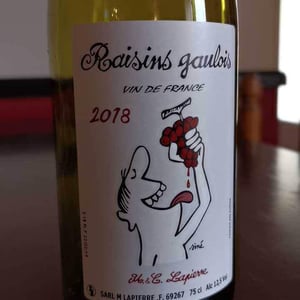 Domaine Marcel Lapierre - Mathieu & Camille Lapierre - Raisins Gaulois