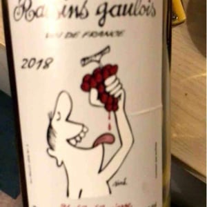 Domaine Marcel Lapierre - Mathieu & Camille Lapierre - Raisins Gaulois