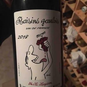 Domaine Marcel Lapierre - Mathieu & Camille Lapierre - Raisins Gaulois