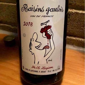 Domaine Marcel Lapierre - Mathieu & Camille Lapierre - Raisins Gaulois