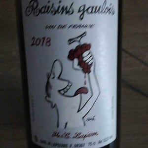 Domaine Marcel Lapierre - Mathieu & Camille Lapierre - Raisins Gaulois