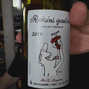 Domaine Marcel Lapierre - Mathieu & Camille Lapierre - Raisins Gaulois
