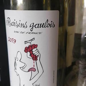Domaine Marcel Lapierre - Mathieu & Camille Lapierre - Raisins Gaulois