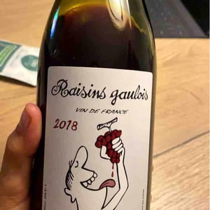 Domaine Marcel Lapierre - Mathieu & Camille Lapierre - Raisins Gaulois