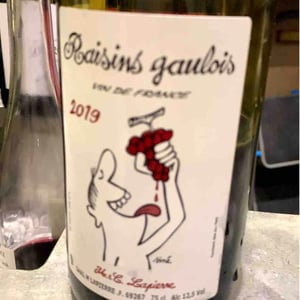 Domaine Marcel Lapierre - Mathieu & Camille Lapierre - Raisins Gaulois
