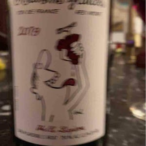 Domaine Marcel Lapierre - Mathieu & Camille Lapierre - Raisins Gaulois