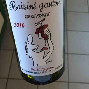 Domaine Marcel Lapierre - Mathieu & Camille Lapierre - Raisins Gaulois