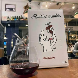 Domaine Marcel Lapierre - Mathieu & Camille Lapierre - Raisins Gaulois