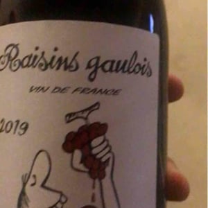 Domaine Marcel Lapierre - Mathieu & Camille Lapierre - Raisins Gaulois