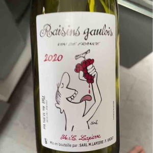 Domaine Marcel Lapierre - Mathieu & Camille Lapierre - Raisins Gaulois