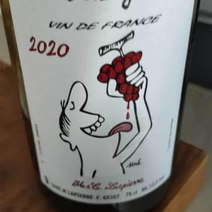Domaine Marcel Lapierre - Mathieu & Camille Lapierre - Raisins Gaulois