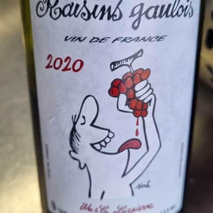 Domaine Marcel Lapierre - Mathieu & Camille Lapierre - Raisins Gaulois