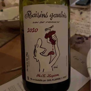 Domaine Marcel Lapierre - Mathieu & Camille Lapierre - Raisins Gaulois
