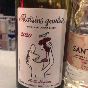 Domaine Marcel Lapierre - Mathieu & Camille Lapierre - Raisins Gaulois