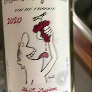Domaine Marcel Lapierre - Mathieu & Camille Lapierre - Raisins Gaulois