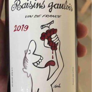 Domaine Marcel Lapierre - Mathieu & Camille Lapierre - Raisins Gaulois