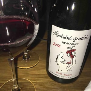 Domaine Marcel Lapierre - Mathieu & Camille Lapierre - Raisins Gaulois