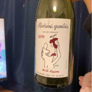 Domaine Marcel Lapierre - Mathieu & Camille Lapierre - Raisins Gaulois