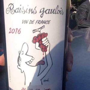 Domaine Marcel Lapierre - Mathieu & Camille Lapierre - Raisins Gaulois