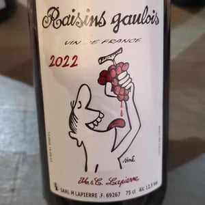 Domaine Marcel Lapierre - Mathieu & Camille Lapierre - Raisins Gaulois