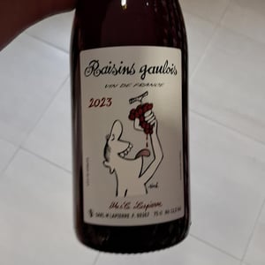 Domaine Marcel Lapierre - Mathieu & Camille Lapierre - Raisins Gaulois