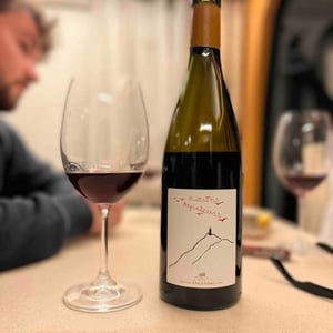 Raisins Migrateurs - Domaine de Bellivière - Clement et Laure Anne Nicolas