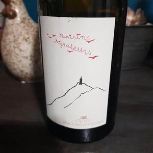 Raisins Migrateurs - Domaine de Bellivière - clement-et-laure-anne-nicolas