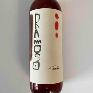 Ramoso - Cantina Sassopra - Marta & Federico Des Dorides -2021