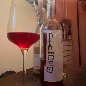 Ramoso - Cantina Sassopra - Marta & Federico Des Dorides -2021