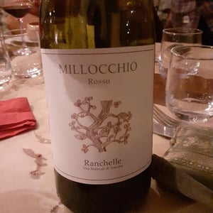 Ranchelle - Ranchelle - christoph-fischer -2020