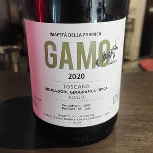 Gamo - Maestà Della Formica - andrea-elmi-gian-luca-guidi-marco-raffaelli