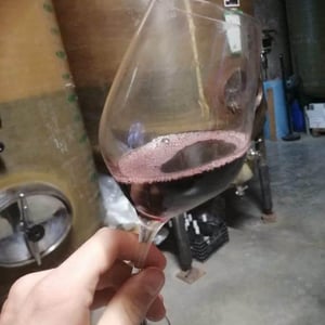 Rapatel - Domaine de Rapatel - Gérard Eyraud 