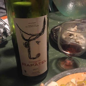 Rapatel 2011
