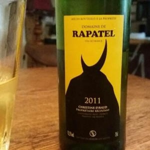 Rapatel 2011
