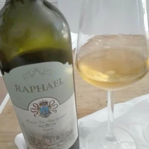 Raphael - Tenuta Ca’ Sciampagne - leonardo-cossi-paola-grillo