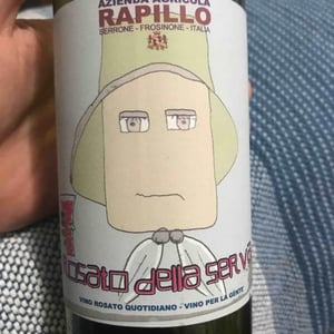 Rapillo Rosato Della Serva - Azienda Agricola Rapillo - antonella-consilia-volpe
