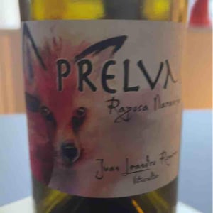 Raposa Naranja - Prelvm - Juan leandro Romero 