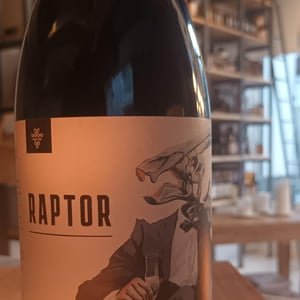 Raptor - Azienda Agricola Aurete - giovanni-vittiglio-paolo-ingino-eugenio-varone