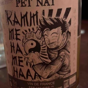 Rat Kamm Le Gris - Jean-Louis & Éric Kamm - Éric Kamm 