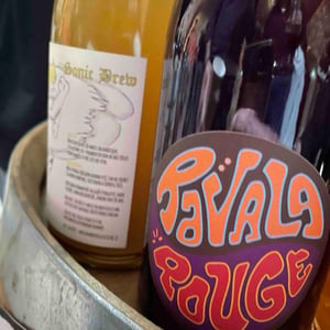 Ravala Express Rouge - Raisin Sauvage - Emilien Revers 