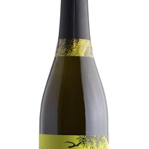 Spumante brut - Cantina Dryas - Stefano Loffredo -2020