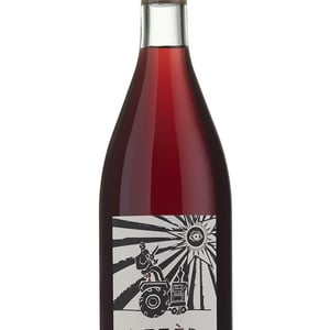 Lezer - Azienda Agricola Foradori - Elisabetta Foradori 