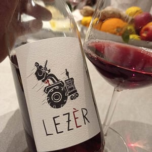 Azienda Agricola Foradori - Elisabetta Foradori - Lezer