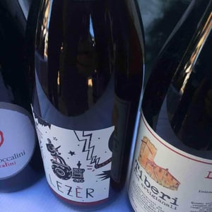 Azienda Agricola Foradori - Elisabetta Foradori - Lezer