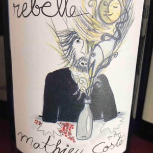 Domaine Bio Coste - Mathieu Coste - Rebelle Blanc