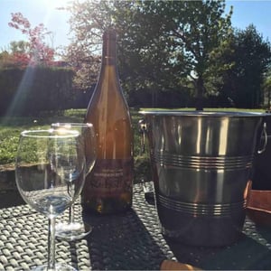 Domaine Bio Coste - Mathieu Coste - Rebelle Blanc